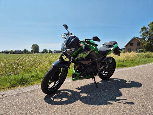 Kawasaki Z300 2015 (A2 35KW) Z 300, Motoren, Motoren | Kawasaki, Particulier, Naked bike, 12 t/m 35 kW, 2 cilinders, Ophalen