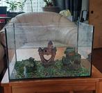 Kleine aquarium met barstje erin., Dieren en Toebehoren, Vissen | Aquaria en Toebehoren, Ophalen, Zo goed als nieuw, Leeg aquarium