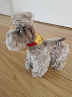 Steiff poedel, type Snobby, klein 14 cm hoog, Ophalen