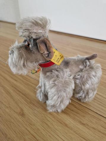 Steiff poedel, type Snobby, klein 14 cm hoog beschikbaar voor biedingen