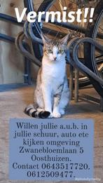 Vermist onze lieve Snoet, Dieren en Toebehoren, Vermiste en Gevonden Dieren