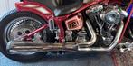 Harley Davidson Rinehart 2 in 1 uitlaat EVO twincam softail, Motoren, Onderdelen | Harley-Davidson, Ophalen