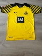 Borussia Dortmund Shirt 21/22', Sport en Fitness, Voetbal, Maat S, Ophalen of Verzenden, Nieuw, Shirt