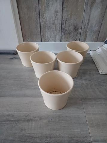 5x (effen) crèmekleurige bloempotten (voor binnen) beschikbaar voor biedingen