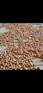 Te koop walnoten, Ophalen