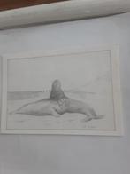 DE ZEEHOND   E.v.Merkerk, Ophalen of Verzenden