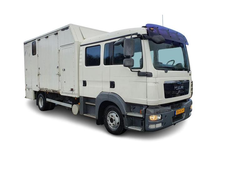 MAN TGL 8.180 (5-pers) Aut. 4X2 BL EEV *PAARDEN (2) /HORSES, Dieren en Toebehoren, Paarden en Pony's | Trailers en Aanhangwagens