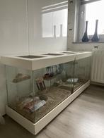 Knaagdierenkooien op wieltjes, Dieren en Toebehoren, Ophalen, Kooi, 60 tot 90 cm, Muis