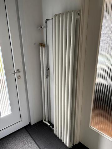 Triton designradiator 180/35 beschikbaar voor biedingen