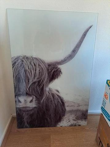 Mooi glasschilderij Schotse Hooglander beschikbaar voor biedingen