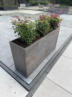 bloembak 120x30x60 Temper Rust, Tuin en Terras, Tuin, Steen, 100 cm of meer, Nieuw