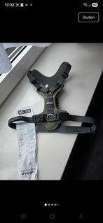 Maat l xl, Ophalen, Nieuw