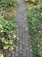 45m2 Betontegels 10x10cm, Ophalen, Gebruikt, 10 m² of meer, Beton