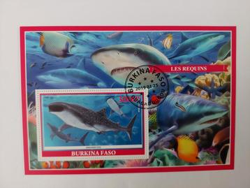 285 Motief, Dier, Dieren, Zeedier, Zeedieren, Haai beschikbaar voor biedingen