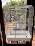 Vogelkooi een week gebruikt, Dieren en Toebehoren, Ophalen of Verzenden, Zo goed als nieuw, Metaal, Vogelkooi