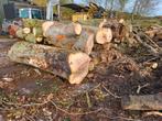 Boomstammen eiken/beuk, 6 m³ of meer, Ophalen of Verzenden, Eikenhout, Stammen