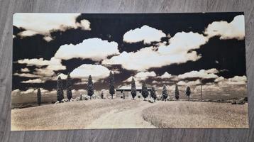 The art group cypress trees tuscany 50x100cm schilderij  beschikbaar voor biedingen