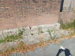 Gratis af te halen klinkers +/- 200stuks, Tuin en Terras, Ophalen, Gebruikt, Klinkers, 10 m² of meer