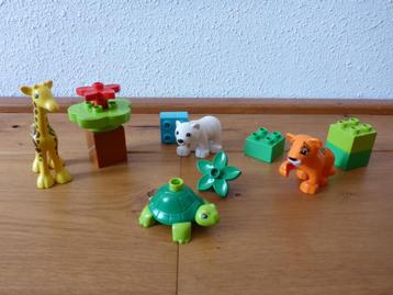Lego Duplo Jonge dieren 10801 beschikbaar voor biedingen