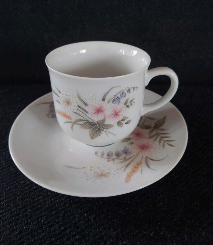 Epiag D.F. Carlsbad vintage kop&schotel, Huis en Inrichting, Keuken | Servies, Nieuw, Kop(pen) en/of Schotel(s), Overige stijlen