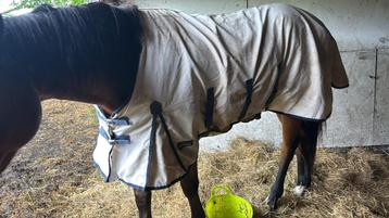 Horsegear eczeemdeken beschikbaar voor biedingen