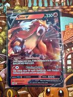 Entei V 022/172, Ophalen of Verzenden, Zo goed als nieuw
