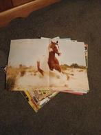 penny paarden bladen, Ophalen, Gelezen, Overige typen