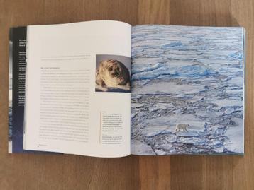Frozen Planet – indrukwekkende BBC Earth natuurfotografie beschikbaar voor biedingen