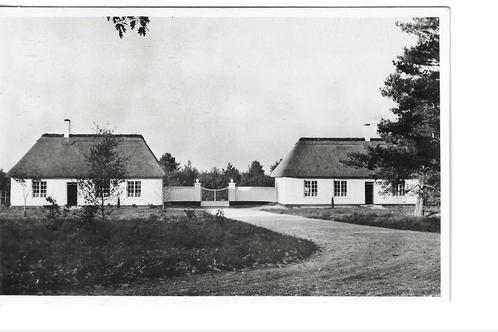 Loenen Vel,  Centrale Begraafplaats,   238, Verzamelen, Ansichtkaarten | Nederland, Ongelopen, Gelderland, 1940 tot 1960, Verzenden
