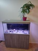 groot leeg aquarium incl accessoires en pomp, Dieren en Toebehoren, Vissen | Aquaria en Toebehoren, Ophalen, Zo goed als nieuw