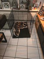 Bench, Ophalen, Zo goed als nieuw, Minder dan 65 cm