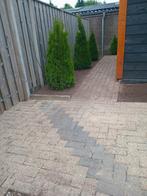 Tuinman, Tuin en Terras, Ophalen of Verzenden, Overige soorten, Minder dan 100 cm