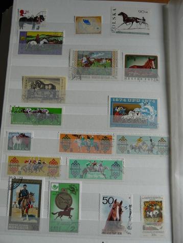 Kavel postzegels gestempeld met Paarden.  beschikbaar voor biedingen