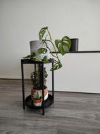 Zwart Plantenstandaard Ikea Olivblad, Huis en Inrichting, Woonaccessoires | Zuilen en Pilaren, Ophalen of Verzenden, Zo goed als nieuw