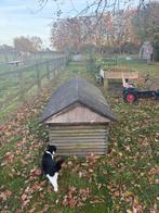 12 Broeiramen met Dak - 1.50 x 0.80 m, Ophalen, Overige materialen, Gebruikt, Kweekkas