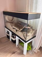 Aquarium hamsterkooi met decoratie hok, Dieren en Toebehoren, Knaagdieren en Konijnen | Hokken en Kooien, Minder dan 60 cm, Kooi