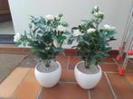 Plastic bloemen in pot, Ophalen, Zo goed als nieuw