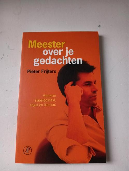 Pieter Frijters - Meester over je gedachten, Boeken, Psychologie, Zo goed als nieuw, Ophalen of Verzenden