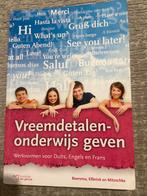 Vreemdetalenonderwijs geven - Boersma, Elferink, Mitzschke, Ophalen of Verzenden, Gelezen
