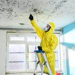 De NR1 specialist in vocht, schimmel en ventilatie, Ophalen of Verzenden, Nieuw