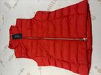 Ralph Lauren bodywarmer maat XS, Nieuw, Maat 34 (XS) of kleiner, Ophalen of Verzenden, Ralph Lauren