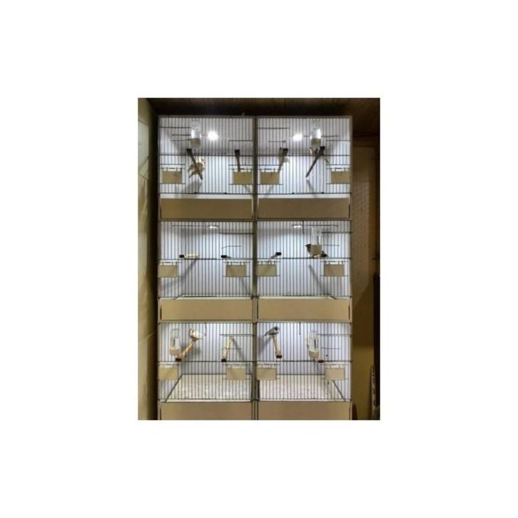 Led verlichting voor broedkooien - kweekkooien met ledmodule, Dieren en Toebehoren, Vogels | Hokken en Kooien, Nieuw, Broedkooi of Kweekkooi