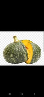 Groenen pompoen  japanse zaadjes zaden, Ophalen of Verzenden, Nieuw