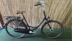 2309 Gazelle Bloom C8