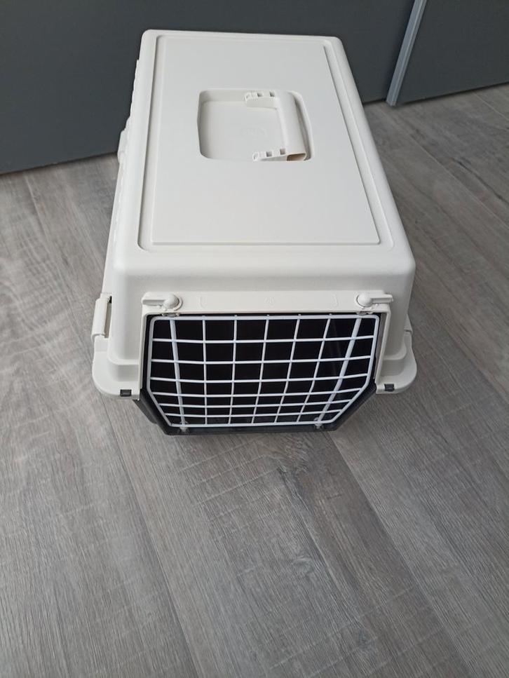 Katten transport box, Dieren en Toebehoren, Transportboxen, Nieuw, Ophalen