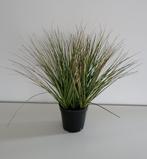 Mooie kunstplant siergras, Ophalen of Verzenden, Zomer, Siergrassen, Volle zon