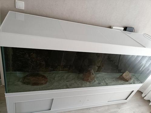 Prachtige grote aquarium, Dieren en Toebehoren, Vissen | Aquaria en Toebehoren, Zo goed als nieuw, Leeg aquarium, Ophalen