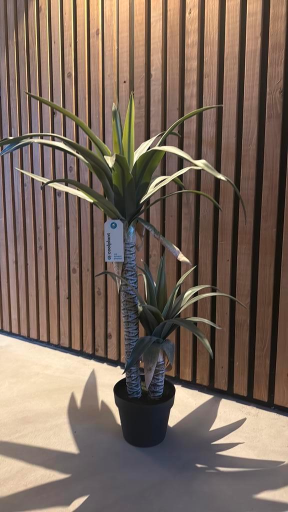 Nieuw Algave plant op stam - 80cm, Huis en Inrichting, Woonaccessoires | Kunstplanten en Kunstbloemen, Nieuw, Binnen, Ophalen of Verzenden