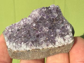 Amethist cluster mineralen X4 beschikbaar voor biedingen