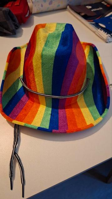 Regenboog Cowboyhoed beschikbaar voor biedingen